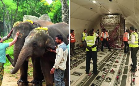 This is what a jumbo jet really is