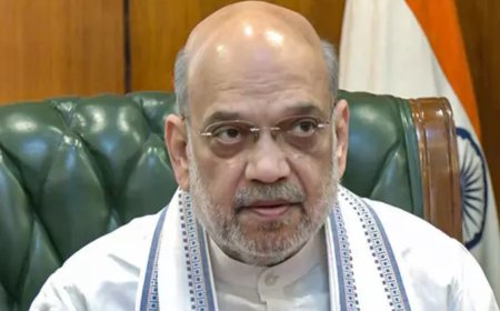 Take steps to extradite fugitives, says Amit Shah
