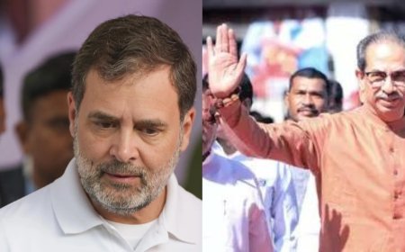 'We will do it together': Rahul Gandhi greets INDIA bloc ally Uddhav Thackeray; vows to 'protect' Maharashtra's rights
