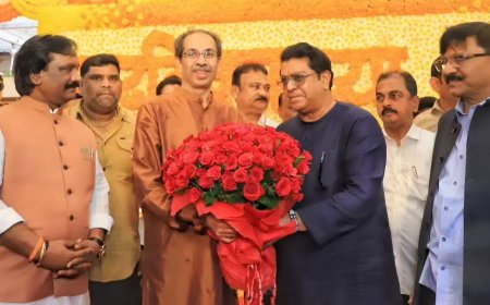 'Matter of happiness': Fadnavis says 'nothing political' in Raj's Matoshree visit; extends birthday wishes to Uddhav