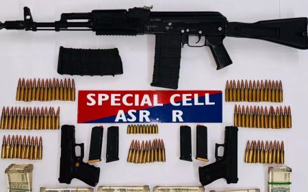 Arms seized from ISI-backed gang in Punjab