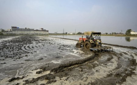 Opposition to Punjab's land-pooling policy brings together farmers