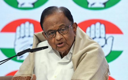 'Why do you assume that they came from Pakistan?': Chidambaram's remark on Pahalgam attackers stirs row; BJP hits back