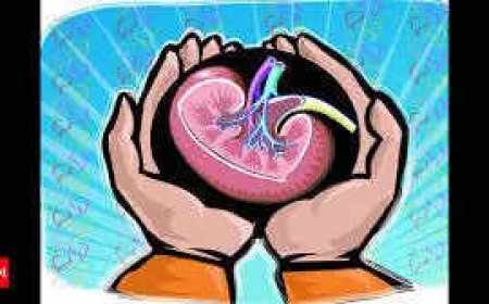 Persons with history of diabetes, high BP can be deceased donors: Expert group