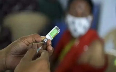 Bhagwant Mann government announces free dog bite treatment at mohalla clinics in Punjab