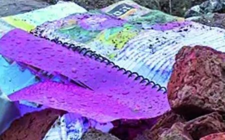 Rajasthan school infra in focus again as 7-year-old crushed in gate collapse