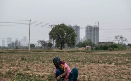 No pollution data from Haryana as all state AQI stations offline since April