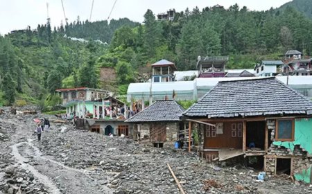 Baby orphaned in HP floods now 'child of state'