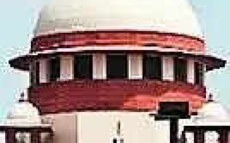 SC slams MP minister for online apology in Colonel case