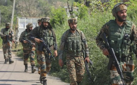 Search operation launched in Kathua after suspicious movement reported