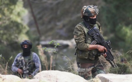 J&K encounter: Security forces notice individuals trying to infiltrate into Indian side in Poonch; two fall down after being hit