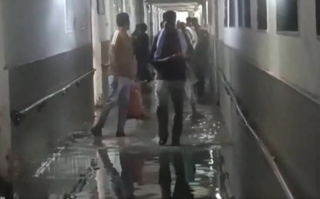 Delhi's Safdarjung Hospital flooded after heavy rains; patients wade through ankle-deep water - watch