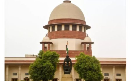'Refugees or illegal entrants?' SC questions Rohingyas' status in India; outlines other issues raised in related pleas
