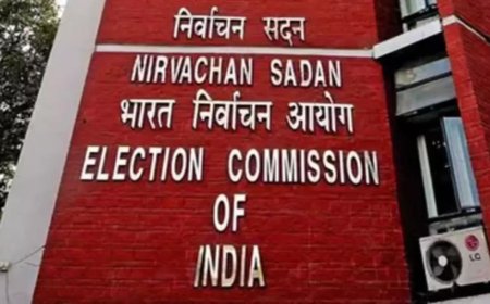 Election Commission finalises electoral college list ahead of upcoming vice-presidential election