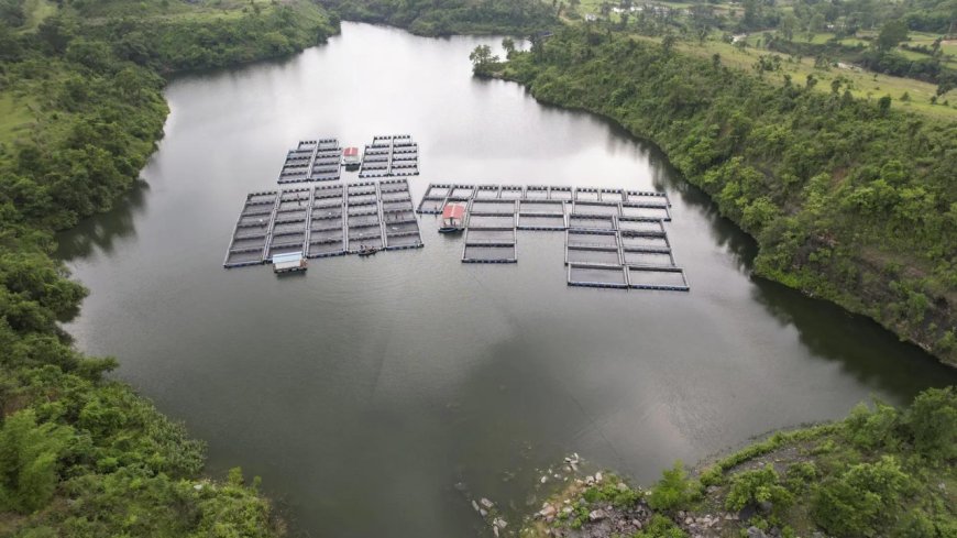 Flood alert sounded in Jharkhand's Ramgarh as rivers are in spate