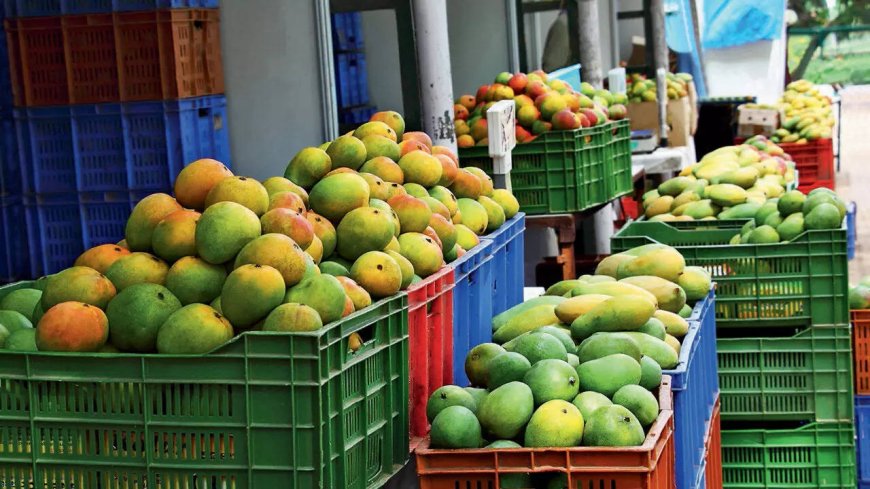 Mango Map: Where the King of Fruits Reigns Supreme