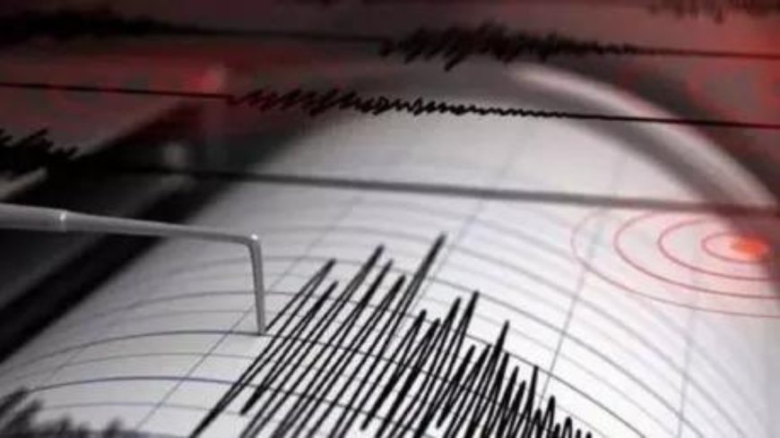3.7-magnitude earthquake hits Haryana's Jhajjar, tremors felt in Delhi-NCR; second in 2 days