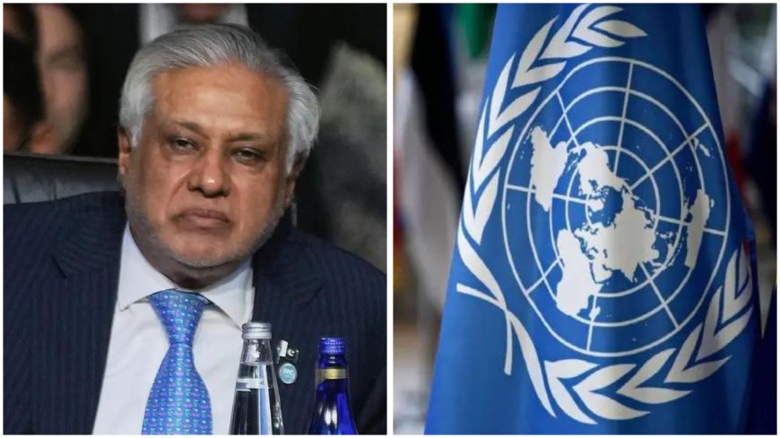 As UNSC president, Pakistan looks to up ante on Kashmir issue