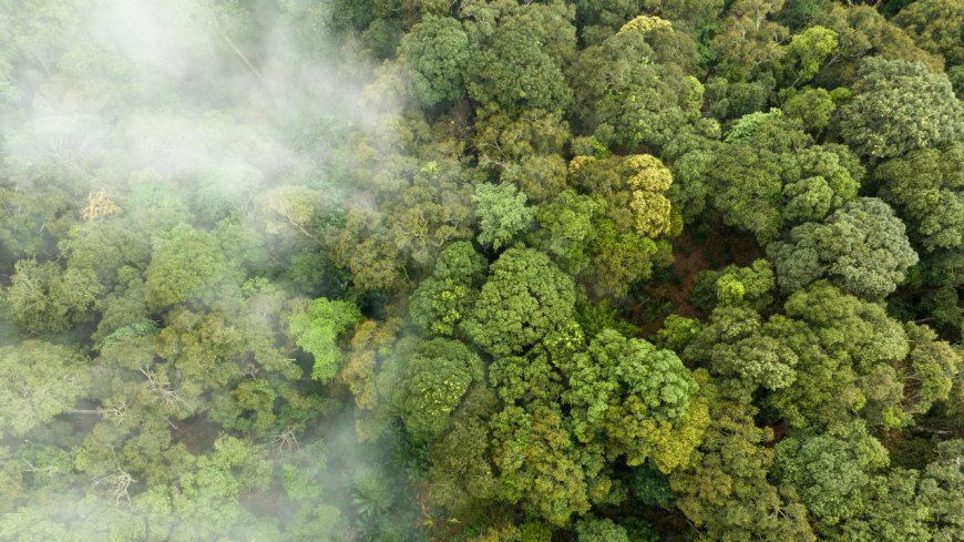 Environment ministry justifies tweak in sulphur dioxide emission norms for TPPs, calling it a pragmatic shift