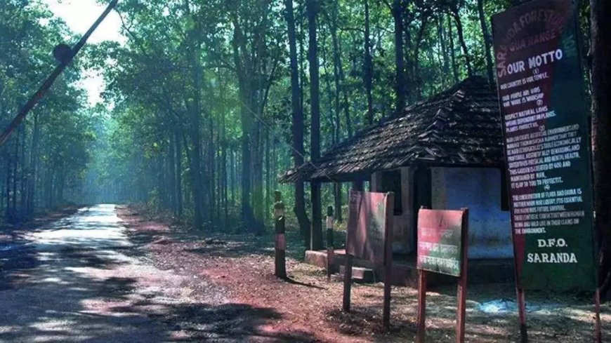 Maoist mines turn Saranda's forest into jumbo killing fields