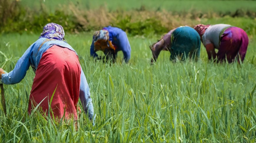 At grassroots against hunger, malnutrition