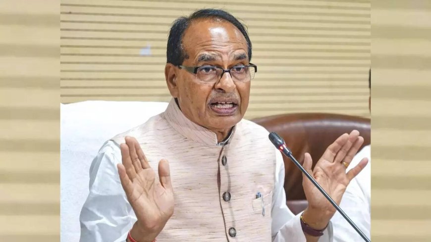 Government to crack down on unapproved biostimulants' sale