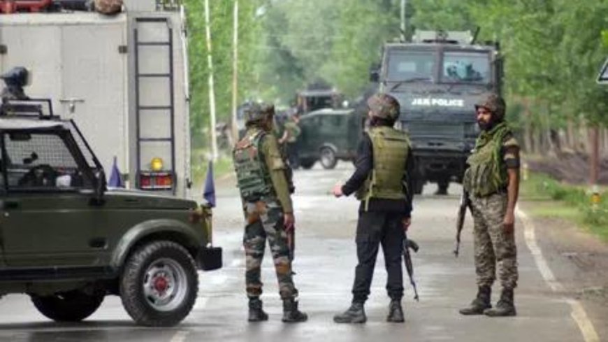 Jaish ultra killed in Basantgarh operation was a top commander: J&K DGP