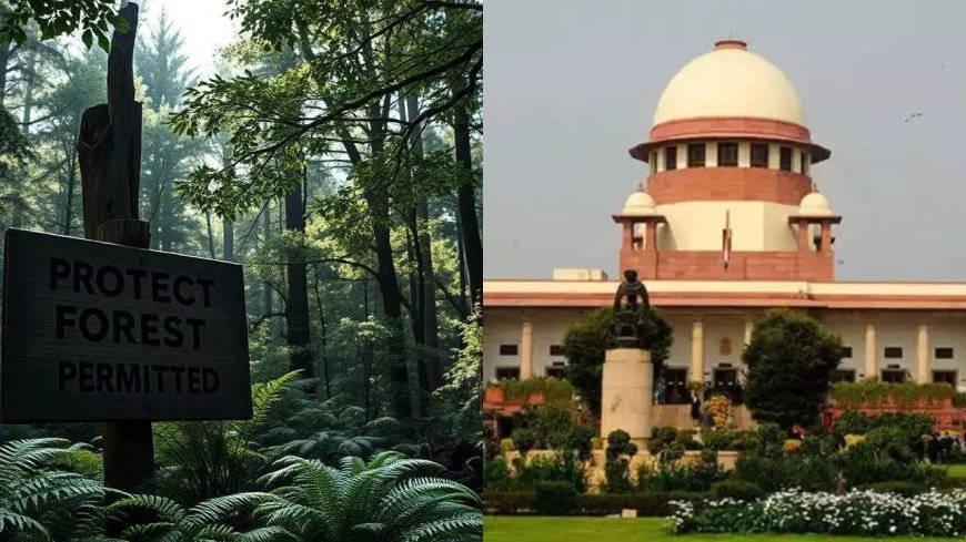 ‘Fake permission’: Delhi forest dept to Supreme Court on tree felling in Ridge area; forged document used for Vasant Kunj housing project