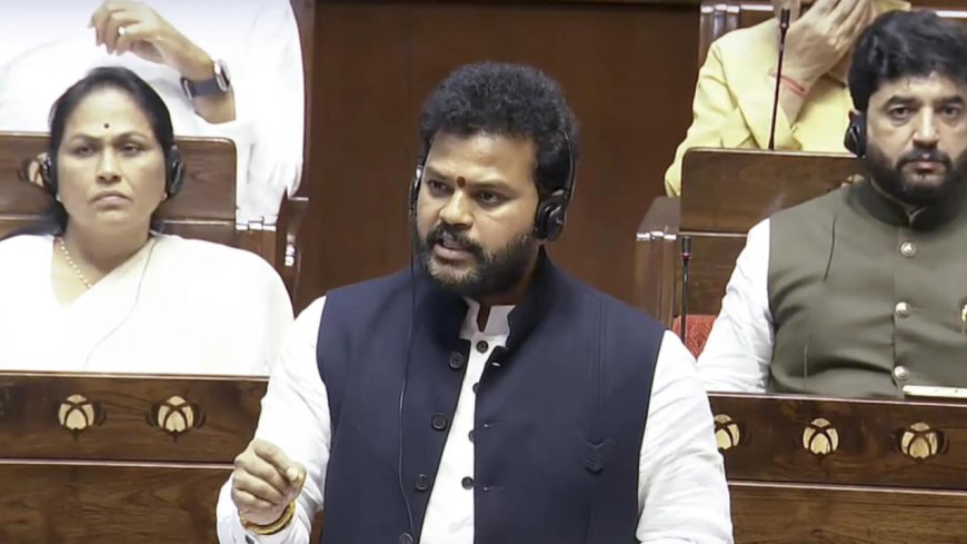 'Seeing investigation through facts': What aviation minister told Parliament on Air India crash; top quotes