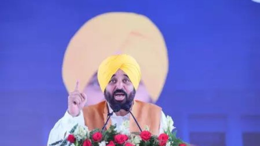 Punjab Police steps up vigil: Mann government deploys anti-drone measures to curb cross-border smuggling