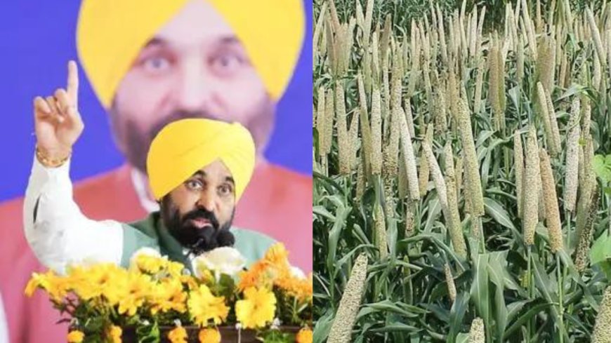 Punjab government rolls out Land Pooling policy; promises farmer welfare and higher compensation