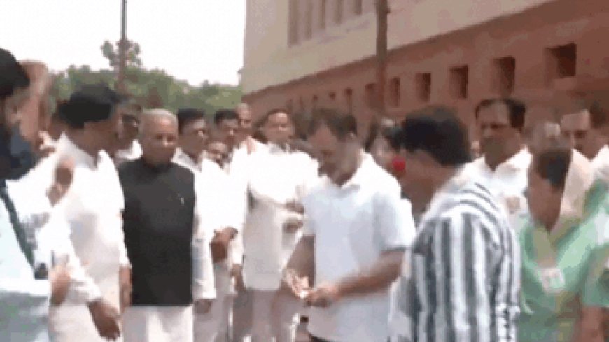 Watch: Rahul Gandhi, Priyanka Gandhi, Dimple Yadav tear SIR placards, throw them in bin; protest enters fifth day of monsoon session