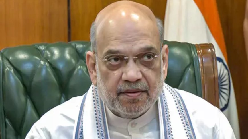 Take steps to extradite fugitives, says Amit Shah