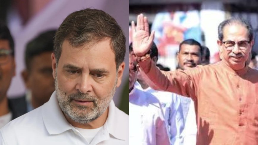 'We will do it together': Rahul Gandhi greets INDIA bloc ally Uddhav Thackeray; vows to 'protect' Maharashtra's rights