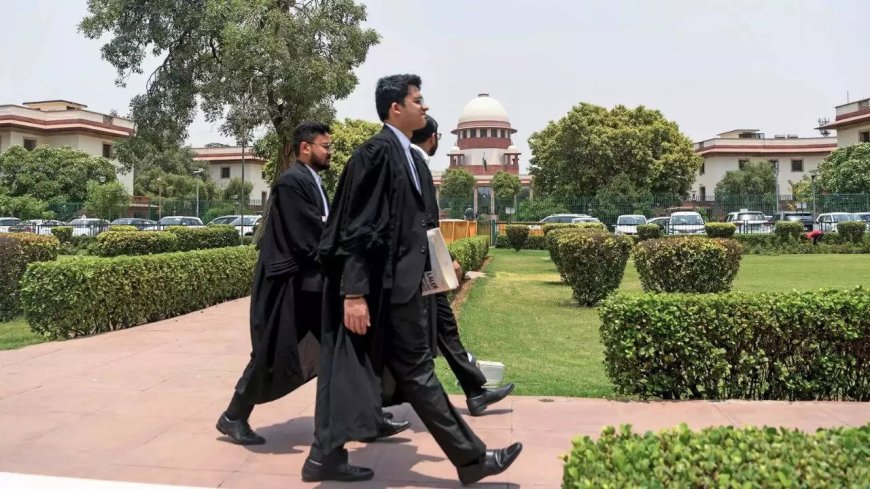 Trial court not the first stop for investigation, says Supreme Court