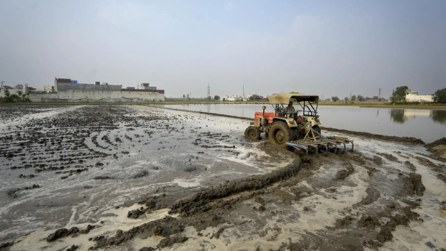 Opposition to Punjab's land-pooling policy brings together farmers