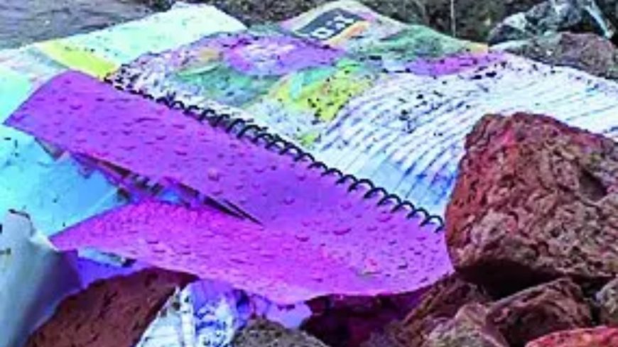 Rajasthan school infra in focus again as 7-year-old crushed in gate collapse