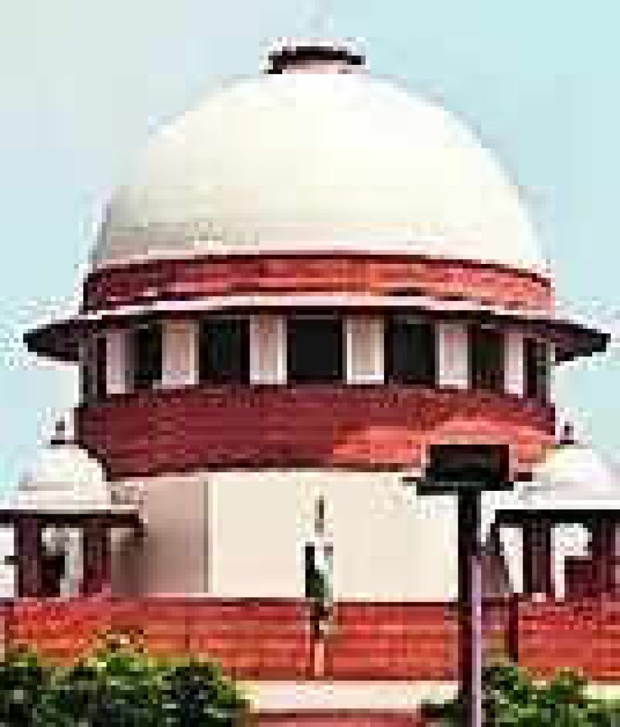 SC slams MP minister for online apology in Colonel case