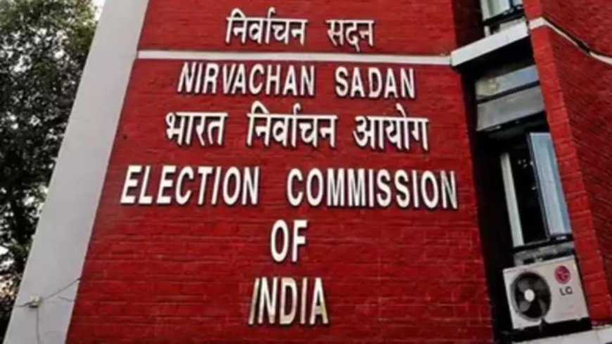 Election Commission finalises electoral college list ahead of upcoming vice-presidential election