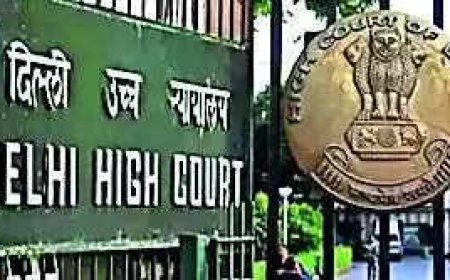 HC junks Turkiye aviation company's plea