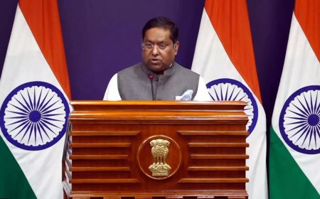 MEA slams UK parliament report on transnational repression as ‘baseless’