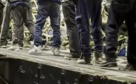 Post Trump, 8 Indians deported daily on average compared to 3 before