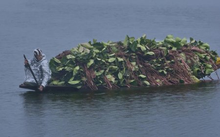 Kashmir’s ancient script Sharda, a ‘vital component of India’s heritage’