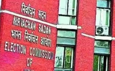 EC doubles pay for BLOs involved in roll revision