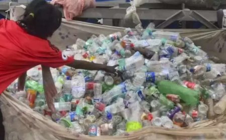 Plastic treaty shouldn't hurt sustainable development: India