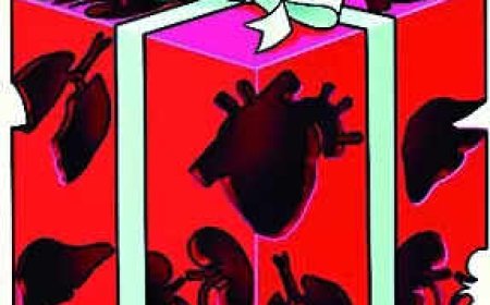 More women than men applying for driving licence pledge to donate organs