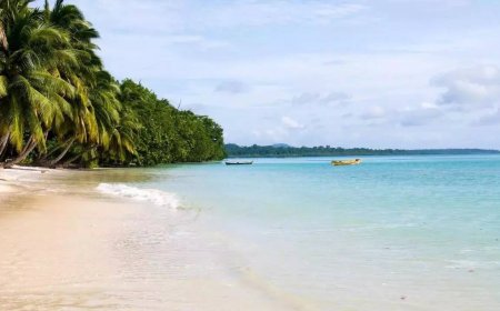 Andaman bank fraud: ED seizes documents revealing Rs 100 crore benami properties