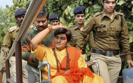 Malegaon blast case: Judge showed concern over torture methods, detention