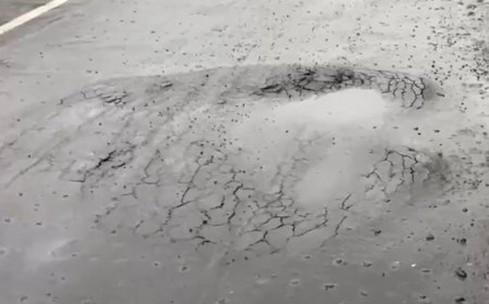Watch: Rs 422-crore Patna double-deck flyover sinks after heavy rainfall; structure was inaugurated just 2 months ago