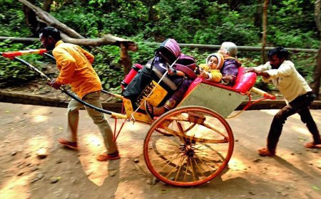 India's dignity belittled by hand-pulled rickshaws: SC